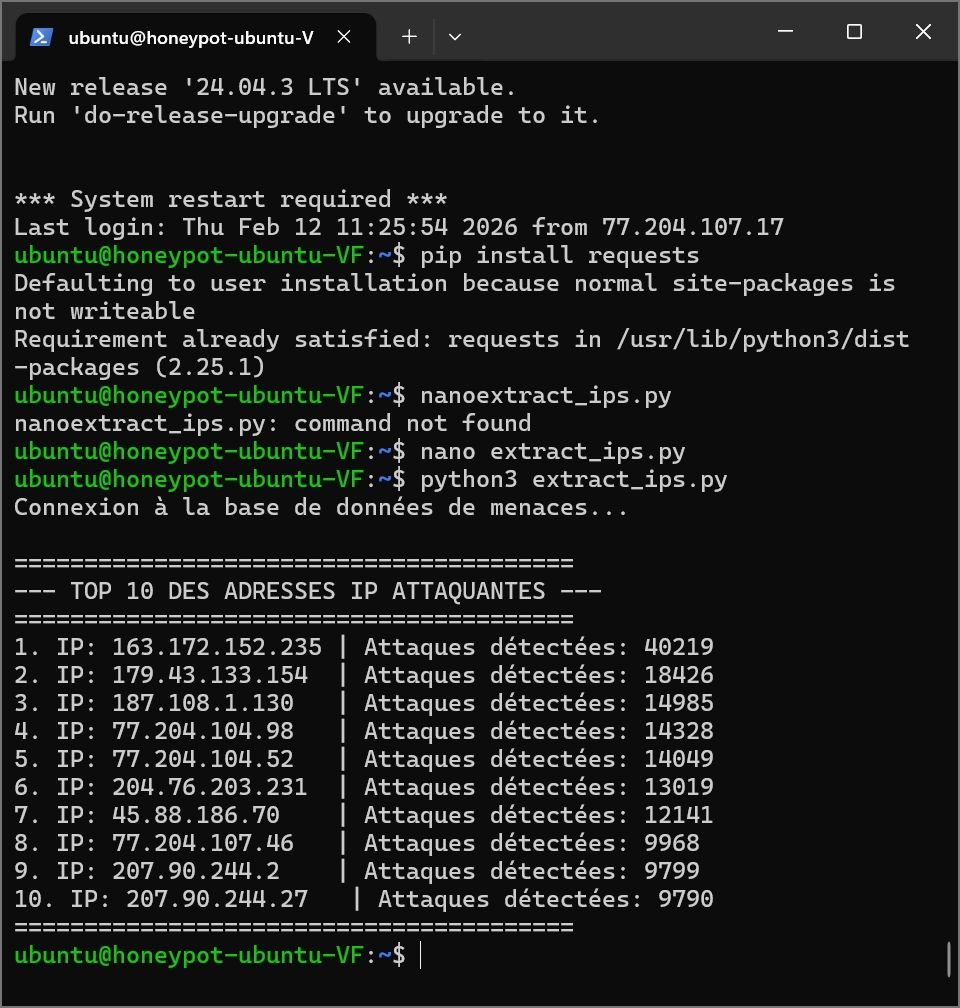 Rapport généré en Python